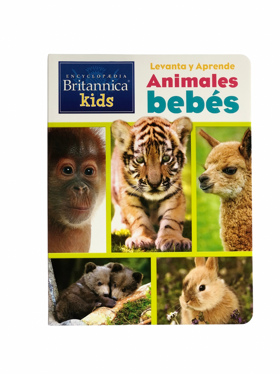 Animales bebés